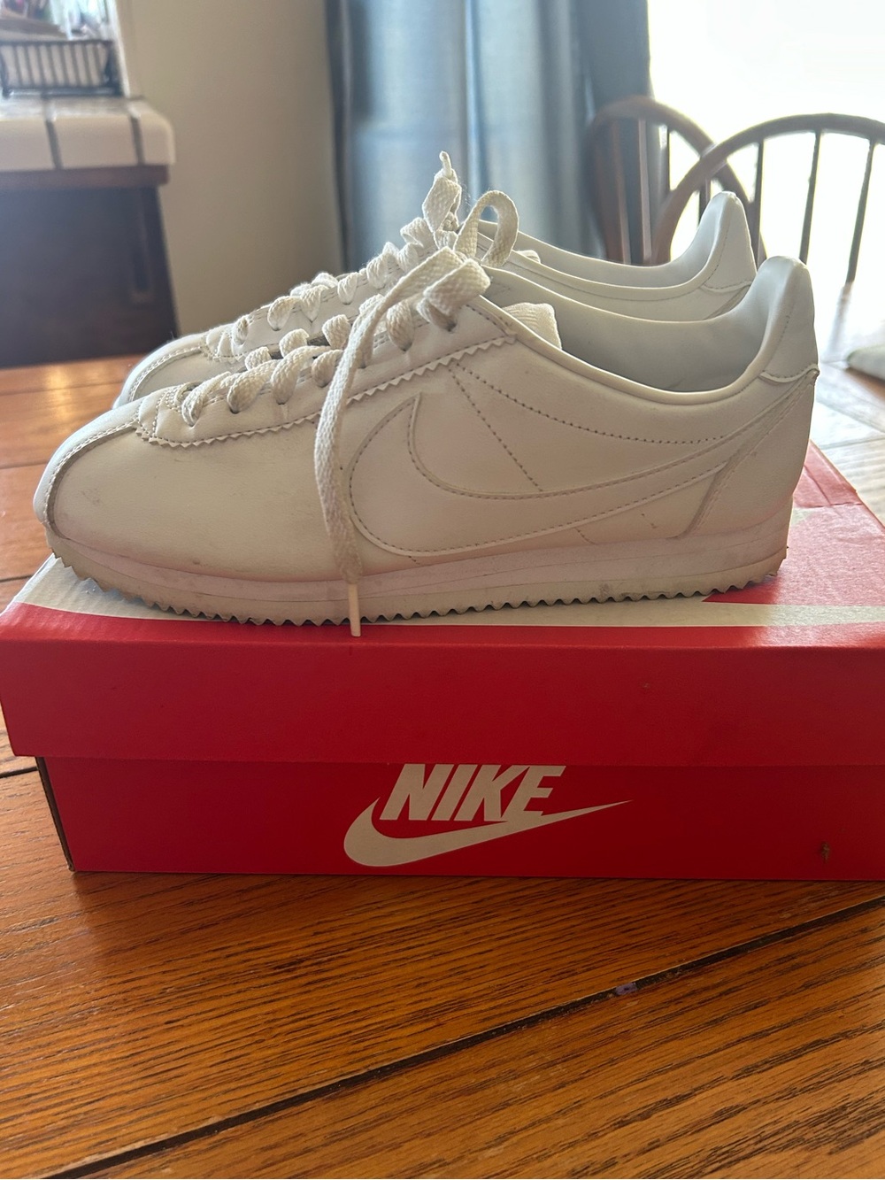 Nike Court Vision Low.